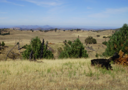 San Ysabel County Preserves