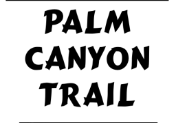 Borrego Palm Canyon Trail