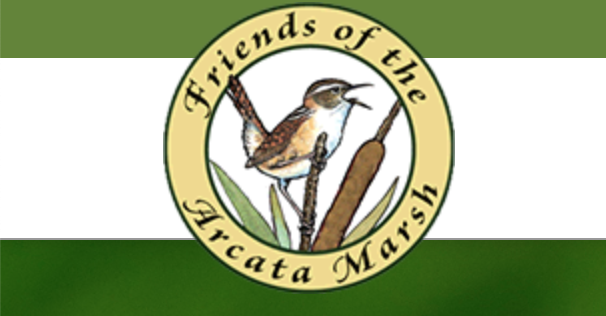 Arcata Marsh and Wildlife Sanctuary