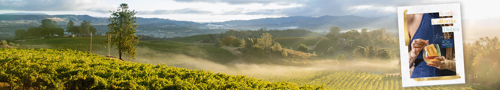 California Winery