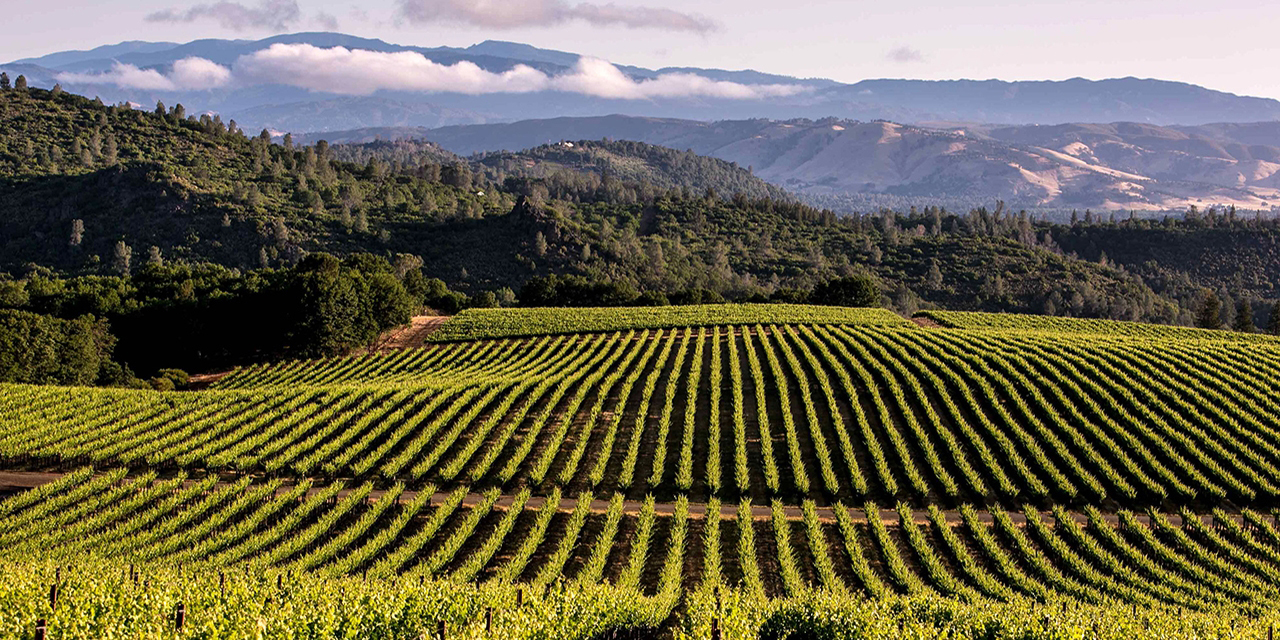 escorted tours california wine country