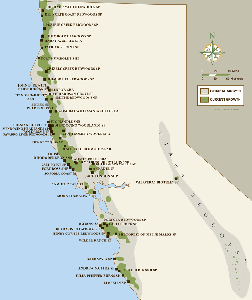 California Coastal Redwoods Parks
