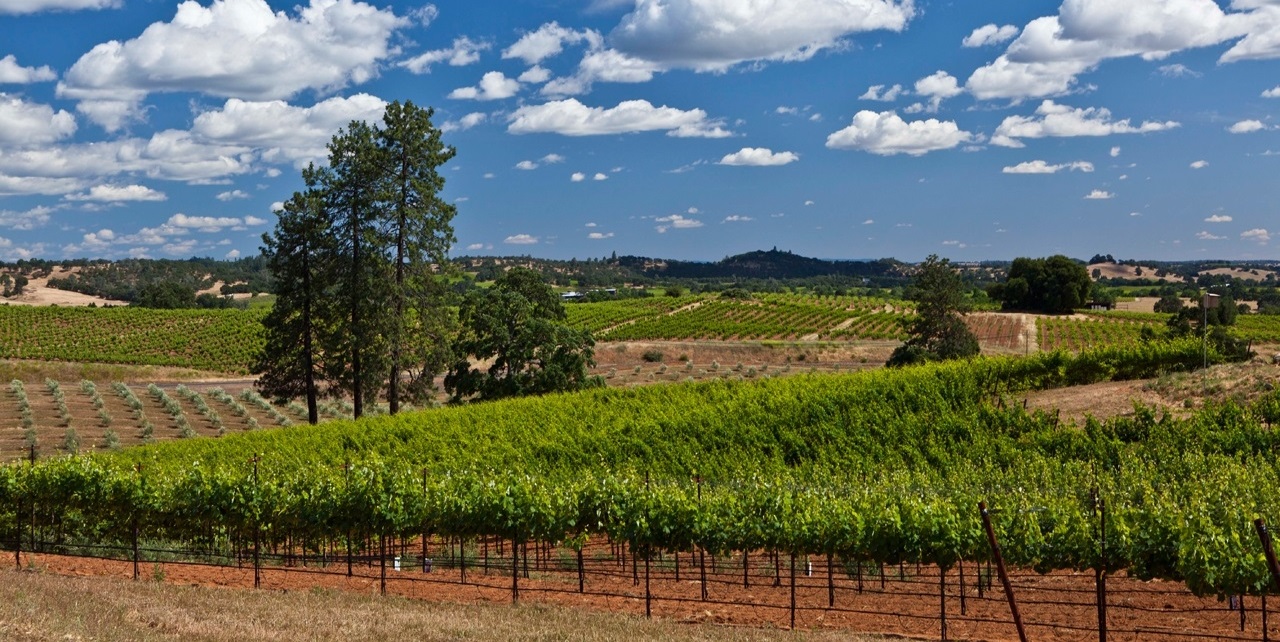 Sacramento Valley - Discover California Wines