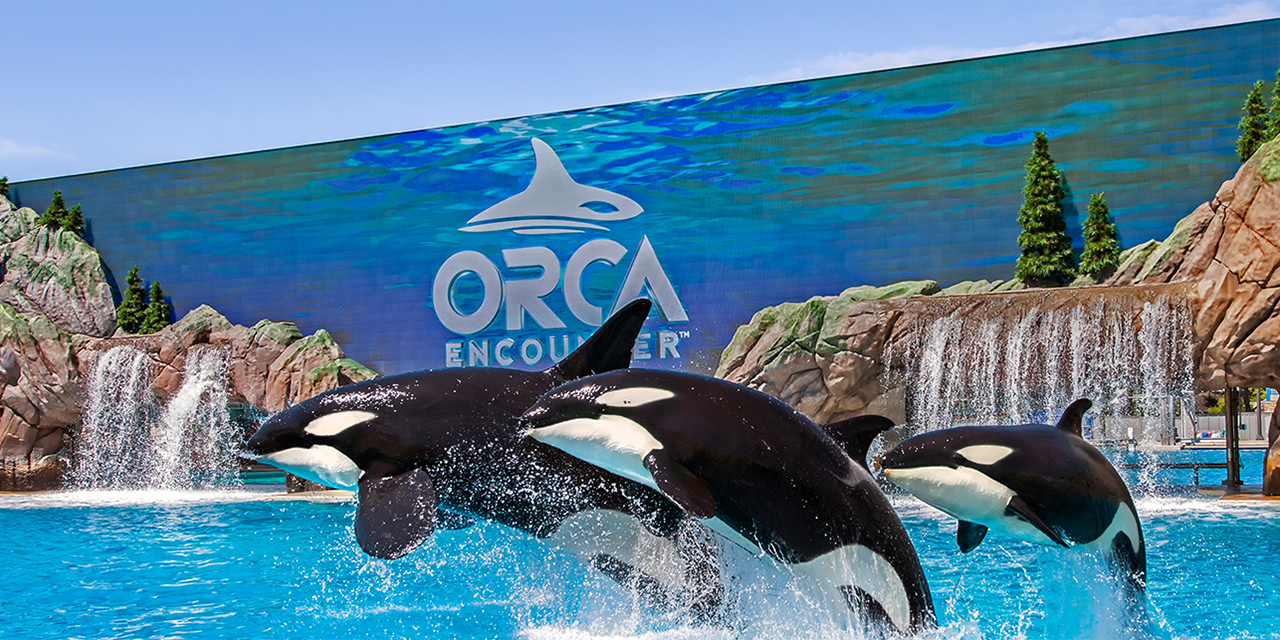 Navigating The Wonders Of SeaWorld San Diego: A Comprehensive Guide