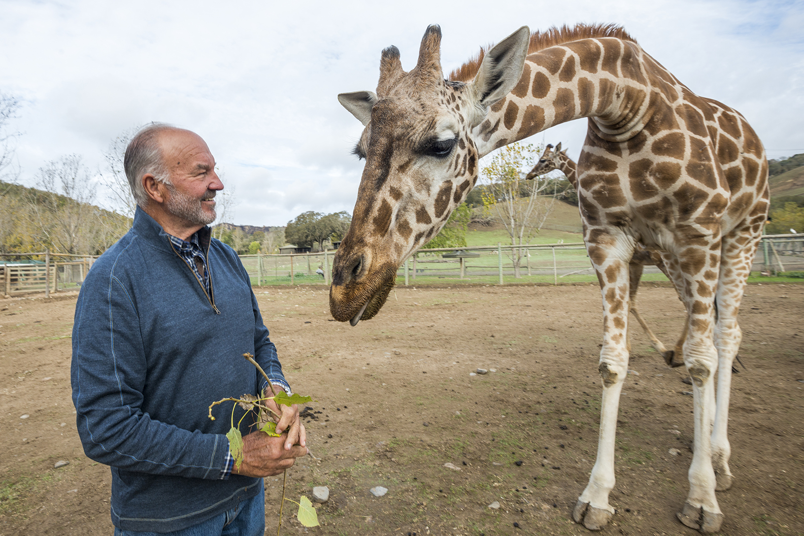 Meet the Safari West Owner Who Saved 1,000 Animals From Wildfire | Visit  California