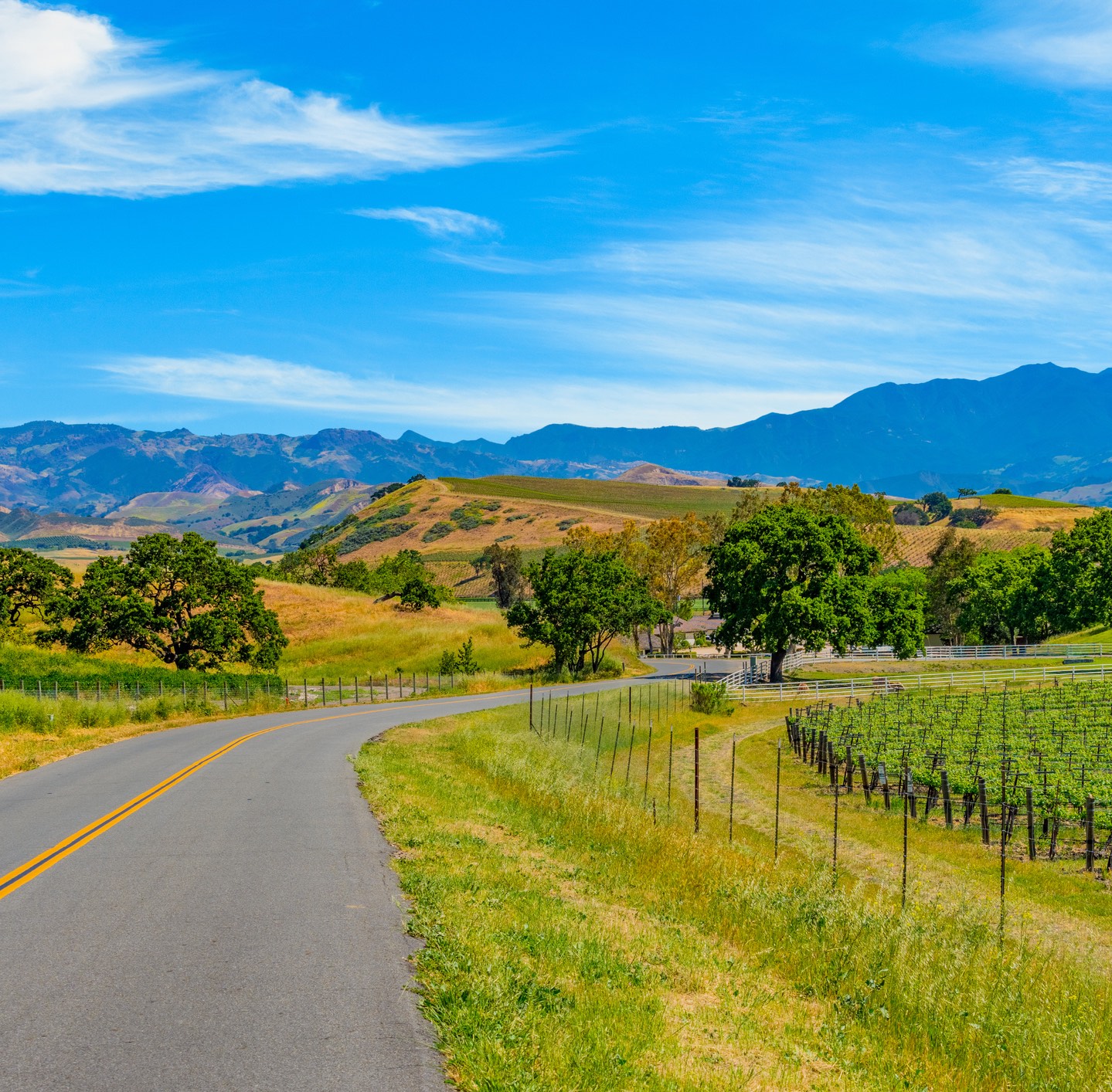 Santa Ynez Valley Wine Country