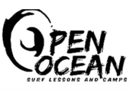 Open Ocean Surfing