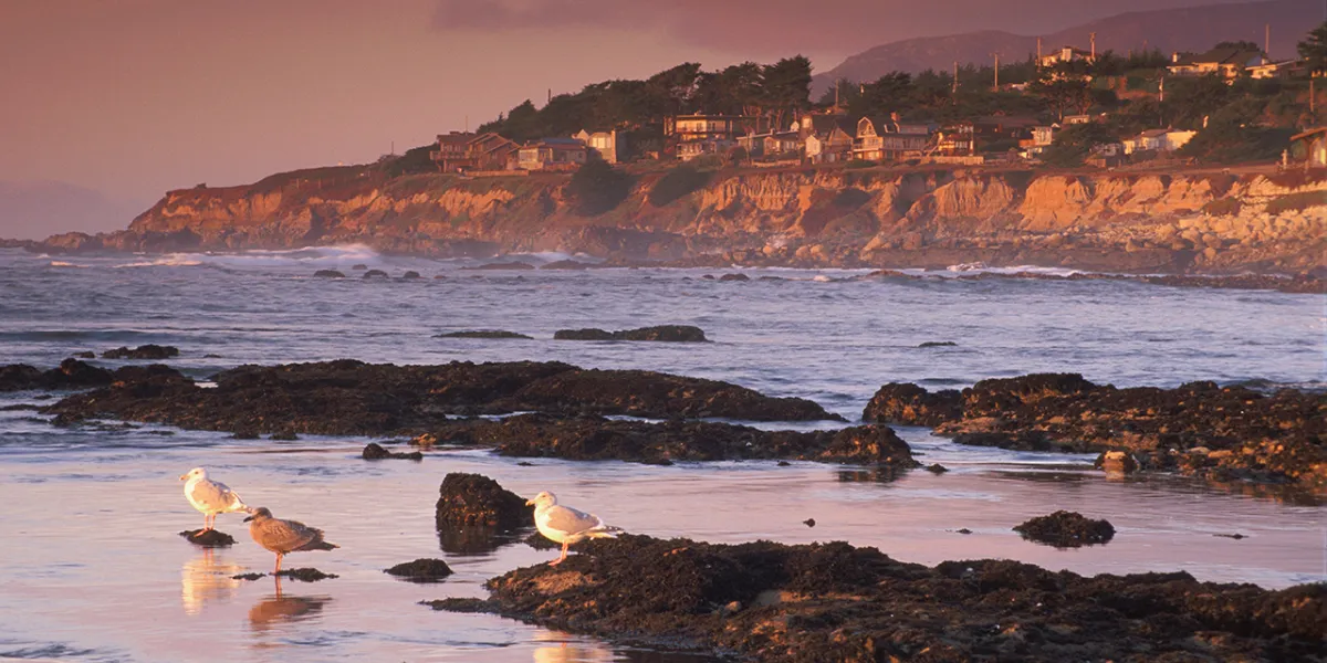 10 Amazing Coastal California Preserves | Visit California | Visit