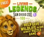 Erlebnisse im San Diego Zoo