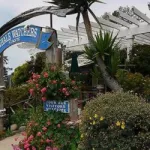 Monterey County Convention & Visitors Bureau: things to do in Big Sur