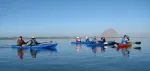 Geführte Kayakausflüge in Morro Bay