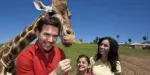 San Diego Zoo Safari Park - Plus d'informations