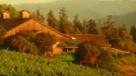 Plan des vignobles du comté de Mendocino