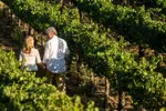 Visit Temecula Valley – wine country