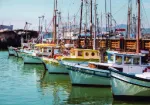 San Francisco Travel – Wharf Sightseeing