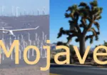 Visit Mojave
