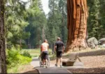Sequoia & Kings Canyon: Plan Your Visit