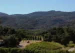 Topa Mountain Winery