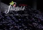 Visita Fairfield