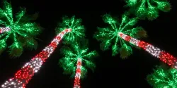 Where to See Holiday Lights in California