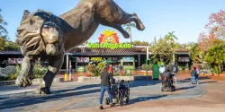 Wissenswertes über Zoos und Aquarien in Kalifornien