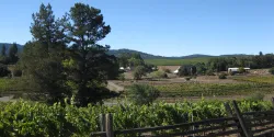 Mendocino Wine Country 