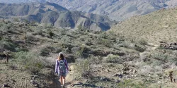 Monumento Nacional de Mojave Trails