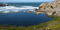 Lands End: San Francisco's Oceanfront Gem