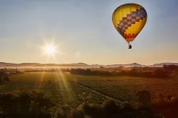 3 Bucket-List-Worthy Experiences in Sonoma County 
