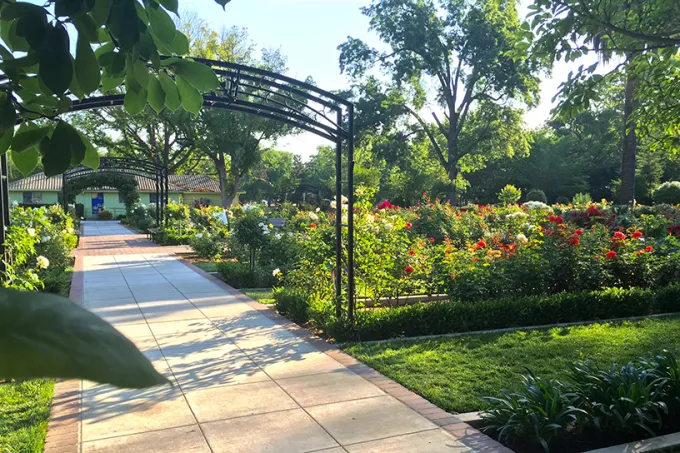 Sacramento Rose Garden