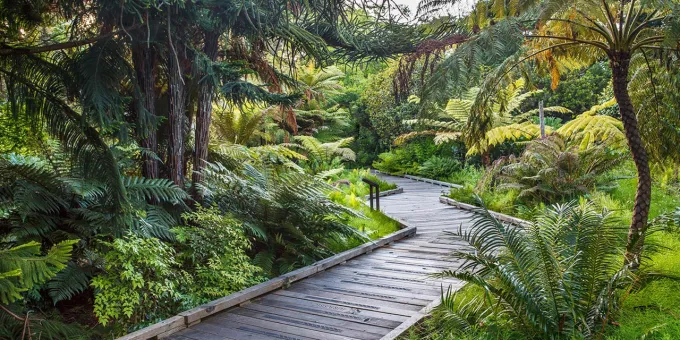 A Visitor's Guide to the San Francisco Botanical Garden in California