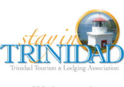 Trinidad Tourism & Lodging